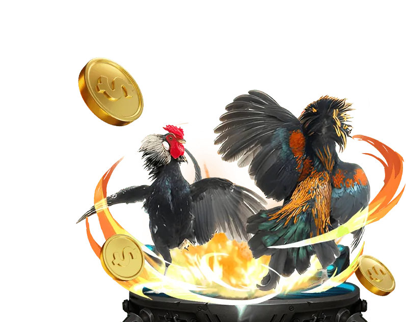 Hoàn trả đá gà hàng ngày gacam67a